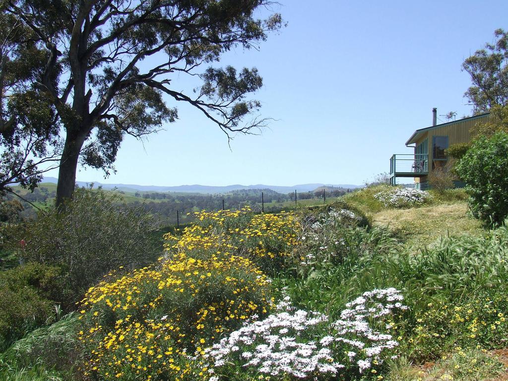 Burnt Creek Cottages Mansfield Kültér fotó